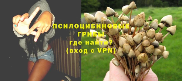 гашик Михайловск