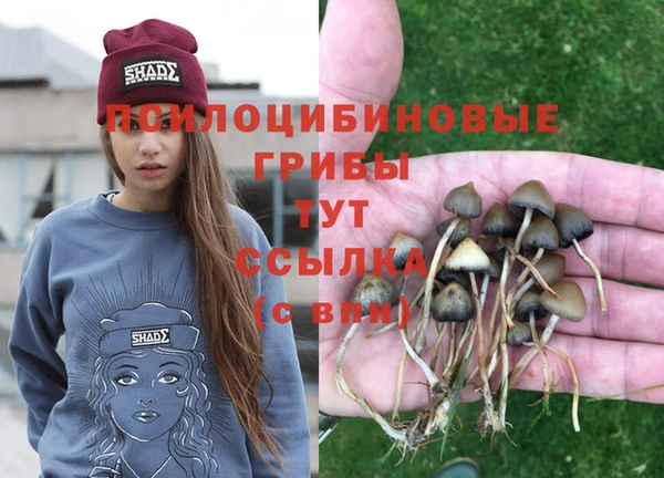 MESCALINE Михайлов