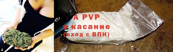 гашик Михайловск