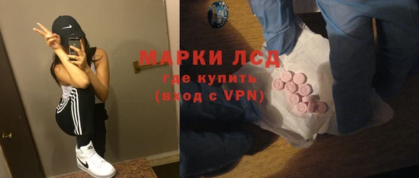 гашик Михайловск
