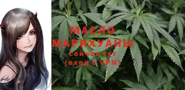 гидра Наволоки