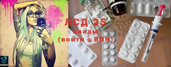 гидра Наволоки