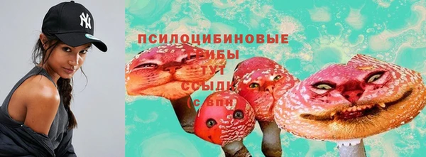 гидра Наволоки