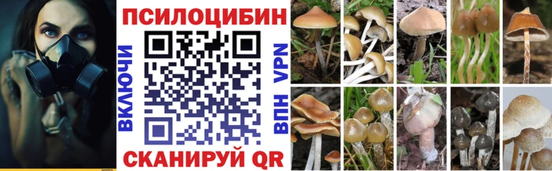 Псилоцибиновые грибы Psilocybe  Иннополис 